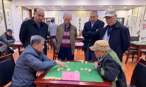 打造封丘象棋高手（掌握攻守进退之道，提高胜率）