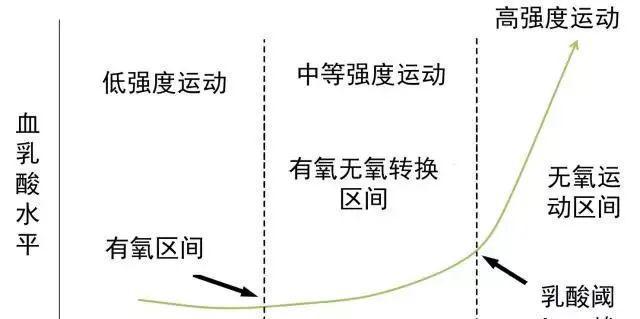 50岁跑步配速技巧剖析（科学运动，健康生活——如何在50岁时保持配速？）