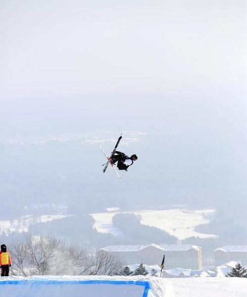 滑出极限，挑战自我——冬奥自由式滑雪坡面障碍技巧资格赛（热血角逐，尽显飒爽英姿）