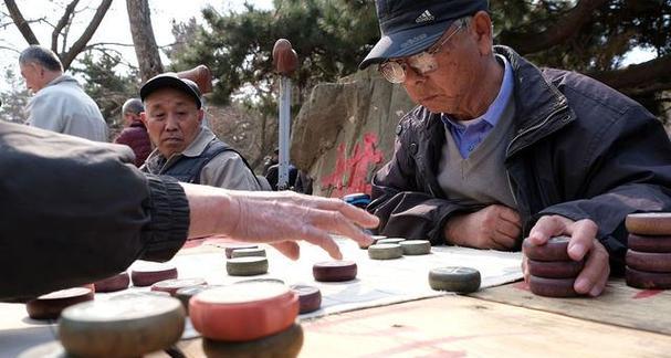 独享智慧，精通象棋（单人玩象棋的必备技能和秘诀）