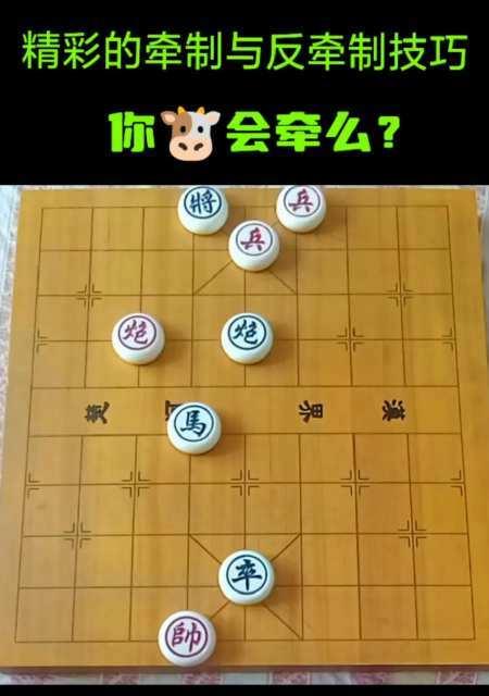 44式象棋开局技巧（掌握象棋开局的必备技能）