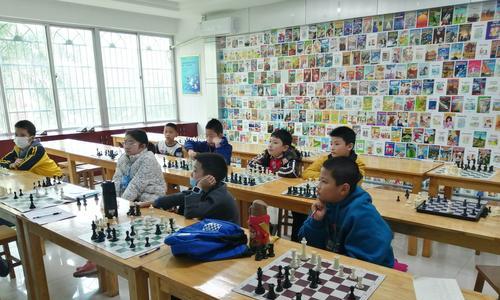 国际象棋技巧分析教程（从入门到精通）