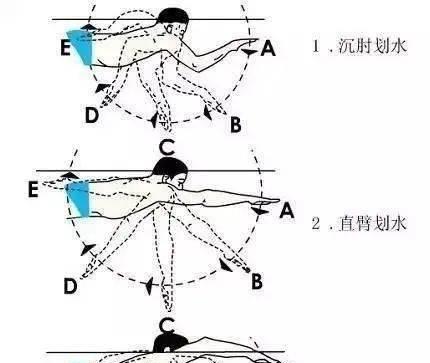 自由泳换气技巧——在水中吐气（掌握正确的呼吸方式）