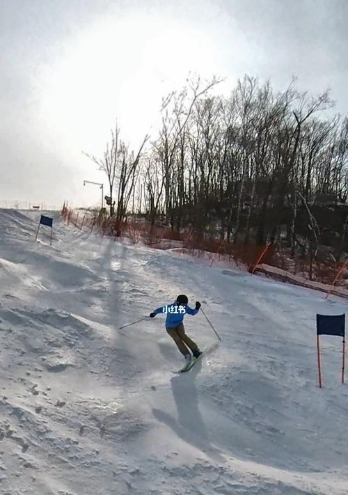 滑雪场地技巧教学（从入门到精通）