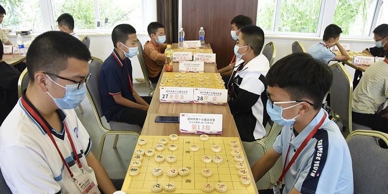 五行阵象棋技巧（从阵法原理到实战应用）