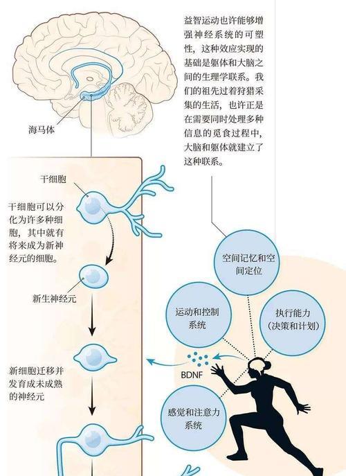 追逐月兔的足球技巧（如何利用足球技巧达成追逐月兔的目标）