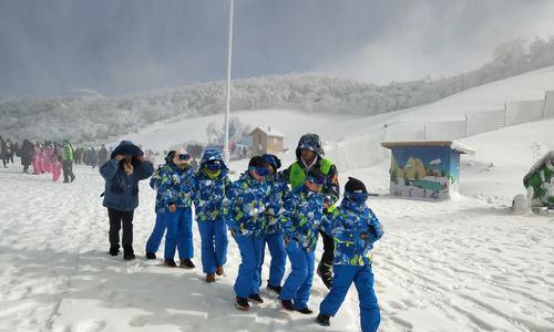 滑雪技巧全解析（从入门到精通）