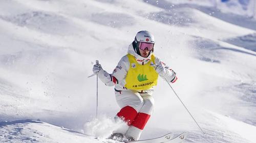 自由式滑雪雪上技巧（掌握技巧）